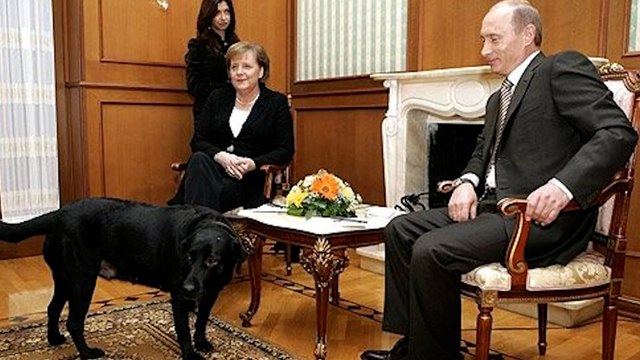 « Angela, excuse-moi » : 17 ans après, Poutine demande pardon à Merkel pour l’avoir effrayée avec son chien