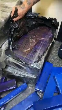 Polícia localiza 'rota do tráfico' e apreende mais de 2 mil tijolos de maconha, por favor