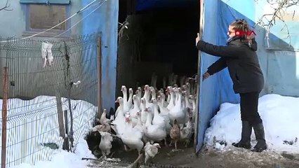 Samsun’da Ebru öğretmen, hayallerini gerçekleştirmek için köye yerleşti