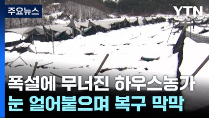 많은 눈에 무너진 하우스..."복구 작업은 엄두도 못 내" / YTN