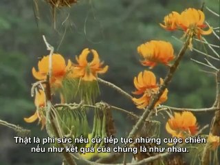 Phim tài liệu phụ đề tiếng Việt The Trial of Life 9