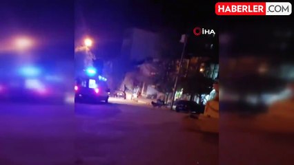 Sokak Köpekleri Elazığ'da Vatandaşları Tedirgin Ediyor