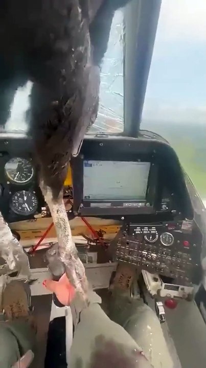 Bird slams into cockpit (video)