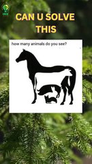 Can you guess the answer just in 5 seconds