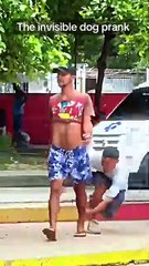 Funniest Video Compilation 😂 | Try Not to Laugh Challenge with Hilarious Moments!