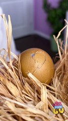 Elle fait quelque chose d'INCROYABLE avec cet œuf 😱 🐔🥚