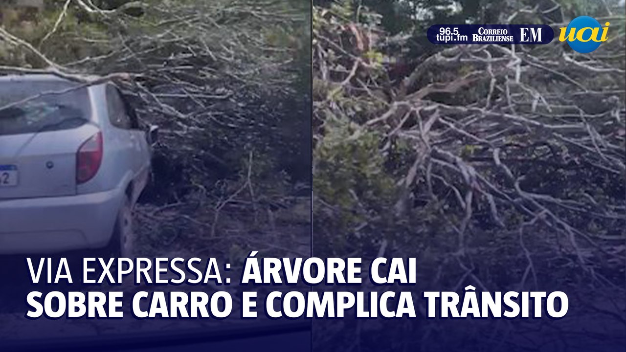 Árvore cai em carro e bloqueia via expressa