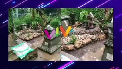 Mistis? Ular 'Raksasa' Mendekam di Makam Berhiaskan Kendi