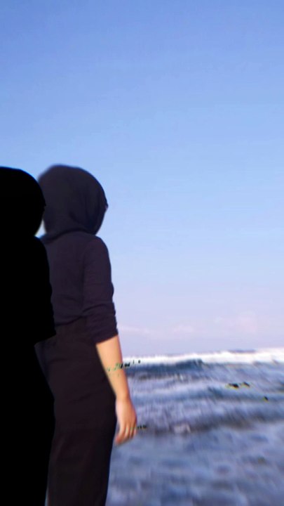Laut