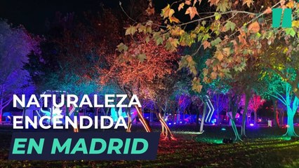 De visita a Naturaleza Encendida en Madrid: un espectáculo de luces con mensaje
