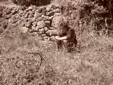 Nestorrr et hectorrr les detectives alcoolos !! ep.3-partie1