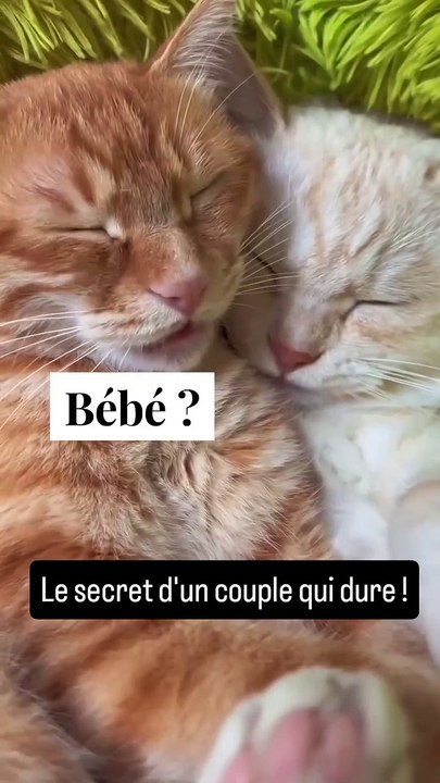 Le secret d'un couple qui dure