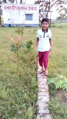 Walking on the boundary wall
