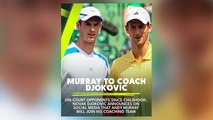 Can Andy Murray help Novak Djokovic close Grand Slam gap on Jannik Sinner and Carlos Alcaraz after being announced as his new coach