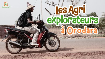 Les Agri Explorateurs : À Orodara