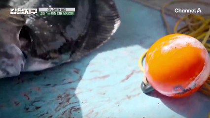 1M짜리 넙치를 상상하며, 또다시 바다로 나가는 강철 여행자들!