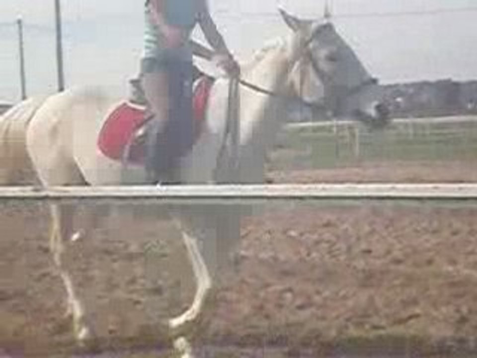 Equitation