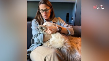 Dans un message déchirant, Jennifer Garner annonce la mort de sa chienne Golden Retriever