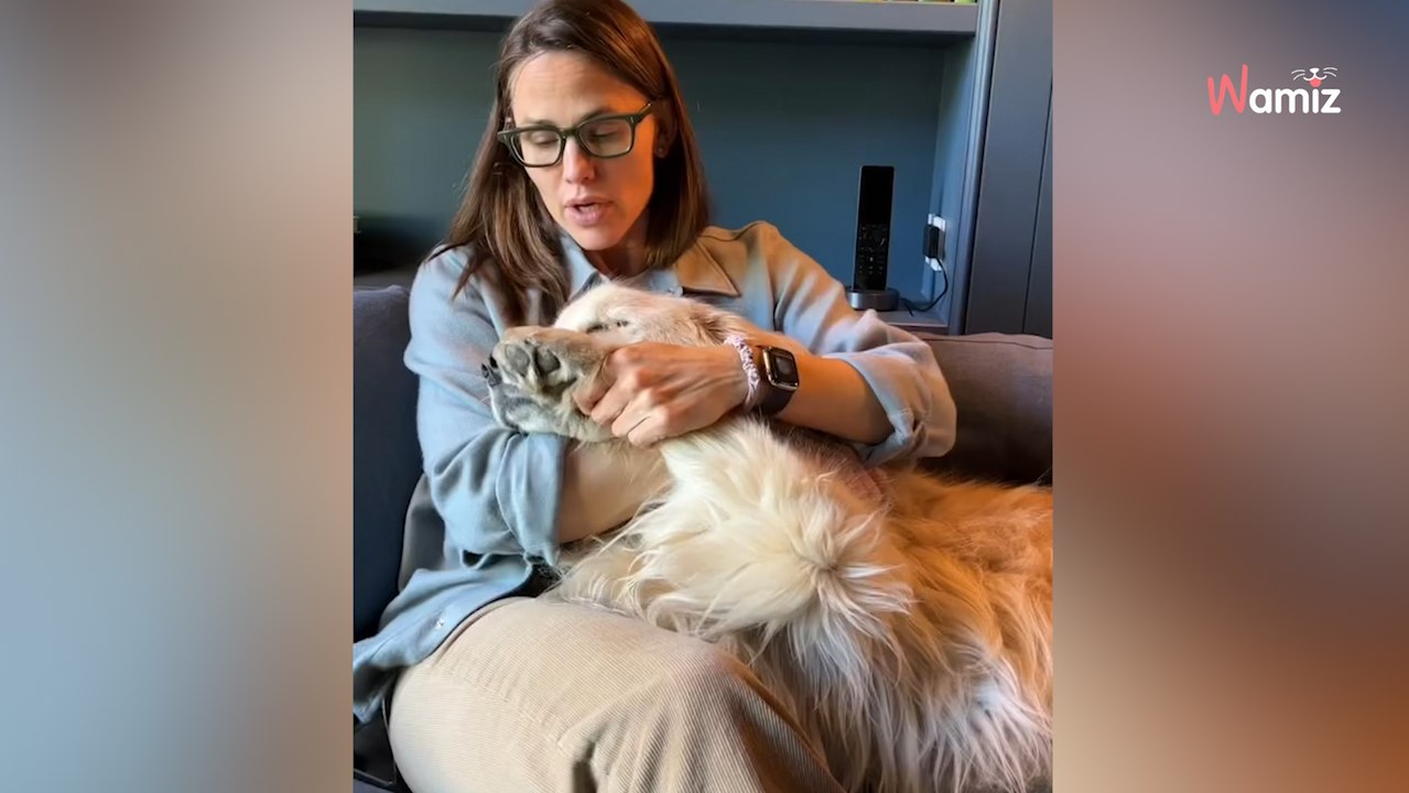 Dans un message déchirant, Jennifer Garner annonce la mort de sa chienne Golden Retriever
