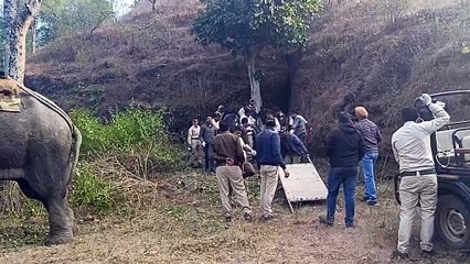 पकड़ा गया 'छोटा भीम', 5 दिन से चल रही थी लगातार तलाश