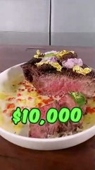 Feeding A Dog $1 vs $10,000 Steak