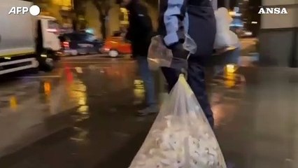 Romania: presidenziali, non escluso l'annullamento del voto