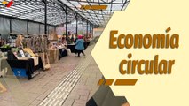 Café en la Mañana | Fundación Red Vida Lógika presenta su primera Feria de Economía Circular