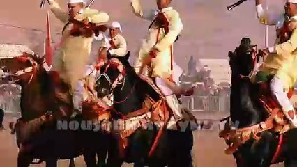 موسم التبوريدة 2024 مهرجان تيسة