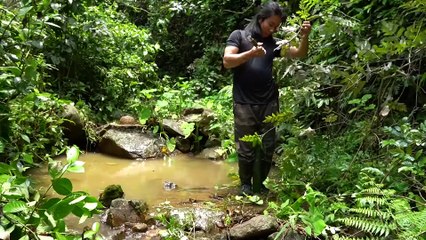 EP.248 - Muita comida selvagem no riacho, pesque e cozinhe