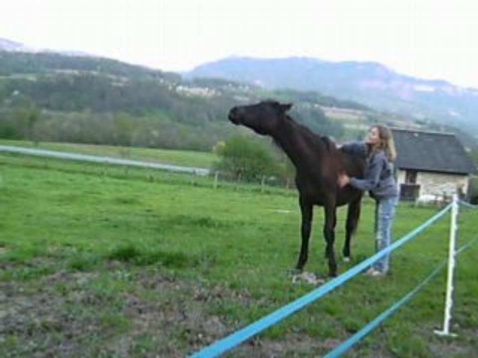 Toundra calin