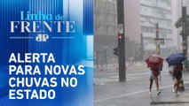 Chuva deixa mais de 110 mil imóveis sem luz em São Paulo | LINHA DE FRENTE