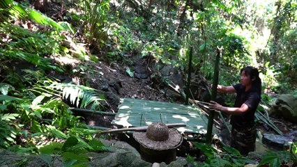 EP.249 - Abrigo de sobrevivência de bambu, comida selvagem, captura e cozimento