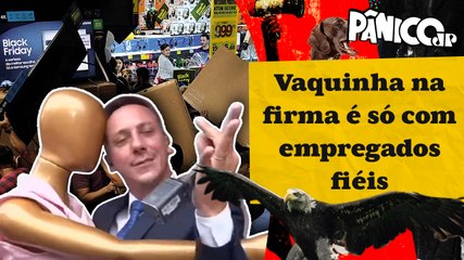 PREÇOS NA BLACK FRIDAY SÃO TÃO ALTOS QUE ATÉ MANEQUIM DANÇA? FUZIL QUESTIONA POVÃO