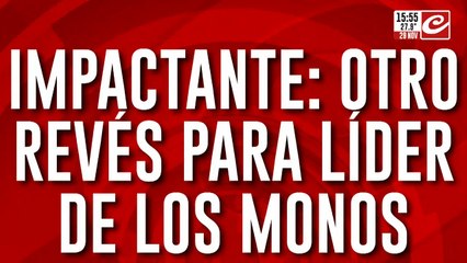 Impactante: otro revés para el líder de los Monos