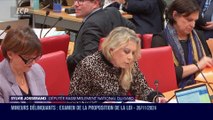 La séance est ouverte ! - Mineurs délinquants : examen de la proposition de loi - 26/11/2024