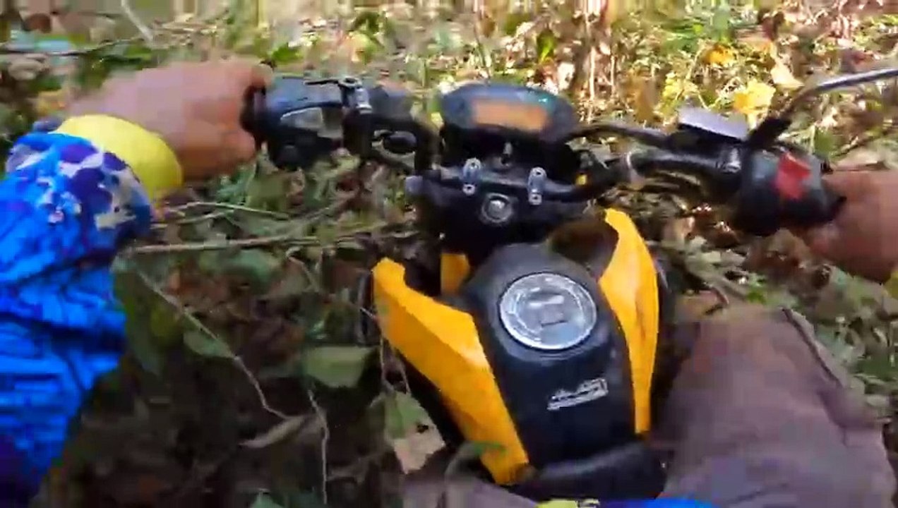 Fishing Adventure ad cook sleeping in the forest មកបបក់ត្រីនីបឹងតាឌៀវ នឹងចម្អិនម្ហូប