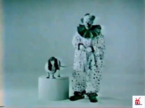 1960s Hush Puppies TV commercial - clown with a basset hound promoting a hush puppy ring