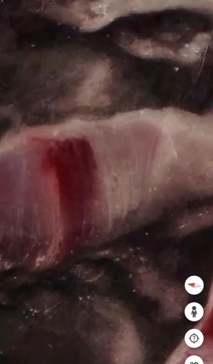 image d'un homme qui se trouve sur Google earth . faites un zoom in des rochers en couleur