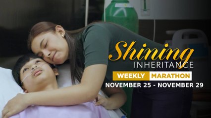 Shining Inheritance Weekly Marathon: Will Help Arrive in Time? | Nov 25-29, 2024