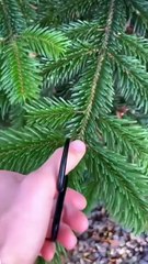 Idee per il Natale ️