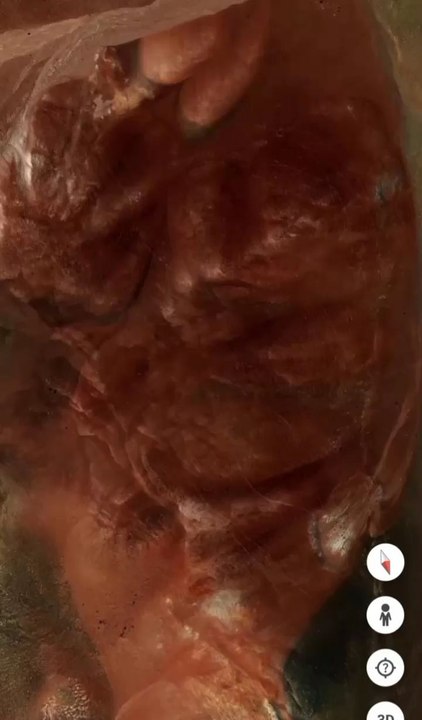 des images d'êtres humains se trouvent sur Google earth  après un zoom in des rochers en couleur