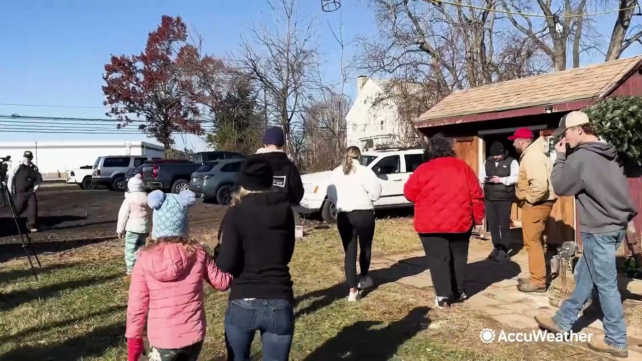 Is drought in the Northeast affecting Christmas tree farms?