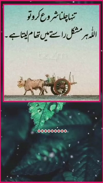 کوئی بھی سدا اس دنیا میں نہیں رہنے والا ، تو جب تک زندگی ہے کسی کے ہمدرد بن جاؤ ، اگر ہمدرد نہیں بن سکتے تو اتنی کوشش کرو کہ کسی کو کوئی درد نہ دو  کیونکہ وقت کی گاڑی کا کوئی بھروسہ نہیں ، کب اپکو آپکے اسٹیشن پر اتار دے ۔ ❣️❣️❣️❣️❣️❣️❣️❣️❣️❣️❣️❣️ #سبحان__