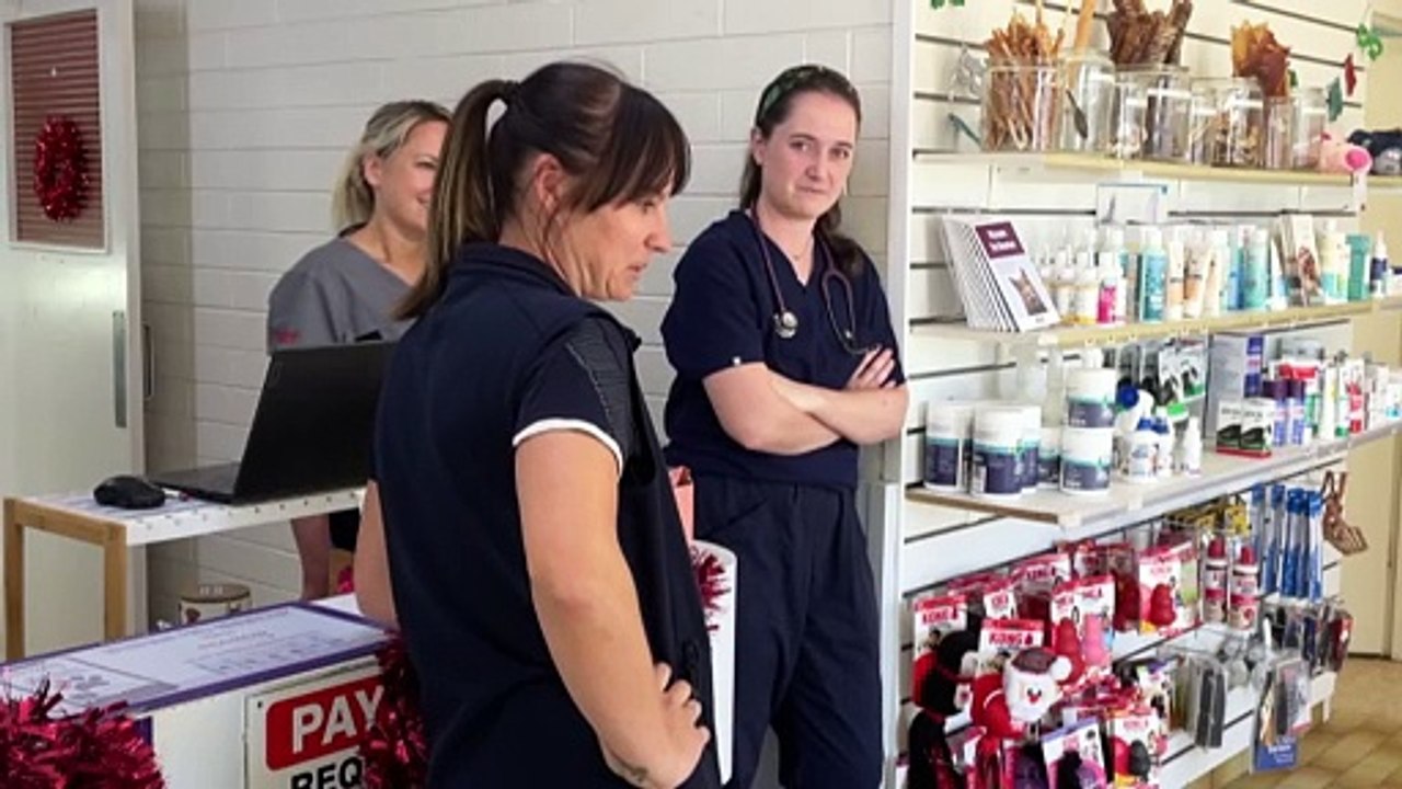 SA clinic welcomes locum vets from the UK to help share the workload