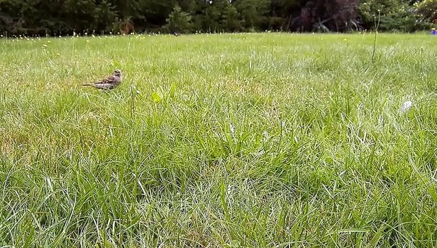 Surah Yaseen Ki Tilawat l Surah Yaseen Recitation l Beautiful Tilawat l Surah Yaseen Recitation lsurah yaseen recitation beautiful l Surah Yasin Recitation l Lofi Quran Recitation For Sleep l Surah Yasin (8)