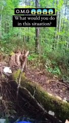 A heart-stopping moment in the wilderness: a man finds himself face-to-face with a young black bear in a desperate fight for survival. A Quick reflexes and sheer bravery kept him alive, as the bear relentlessly attacked. This nail-biting encounter reminds
