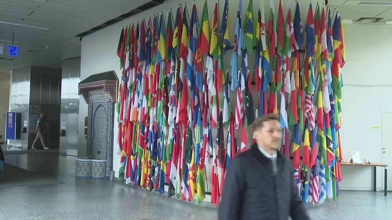 Sciences et technologies nucléaires à vienne : Une clé pour la sécurité alimentaire en Côte d'Ivoire #RTIinfo  #abidjan225🇨🇮