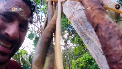 Solo Amazon Expedition | Primal Survivor | हिन्दी