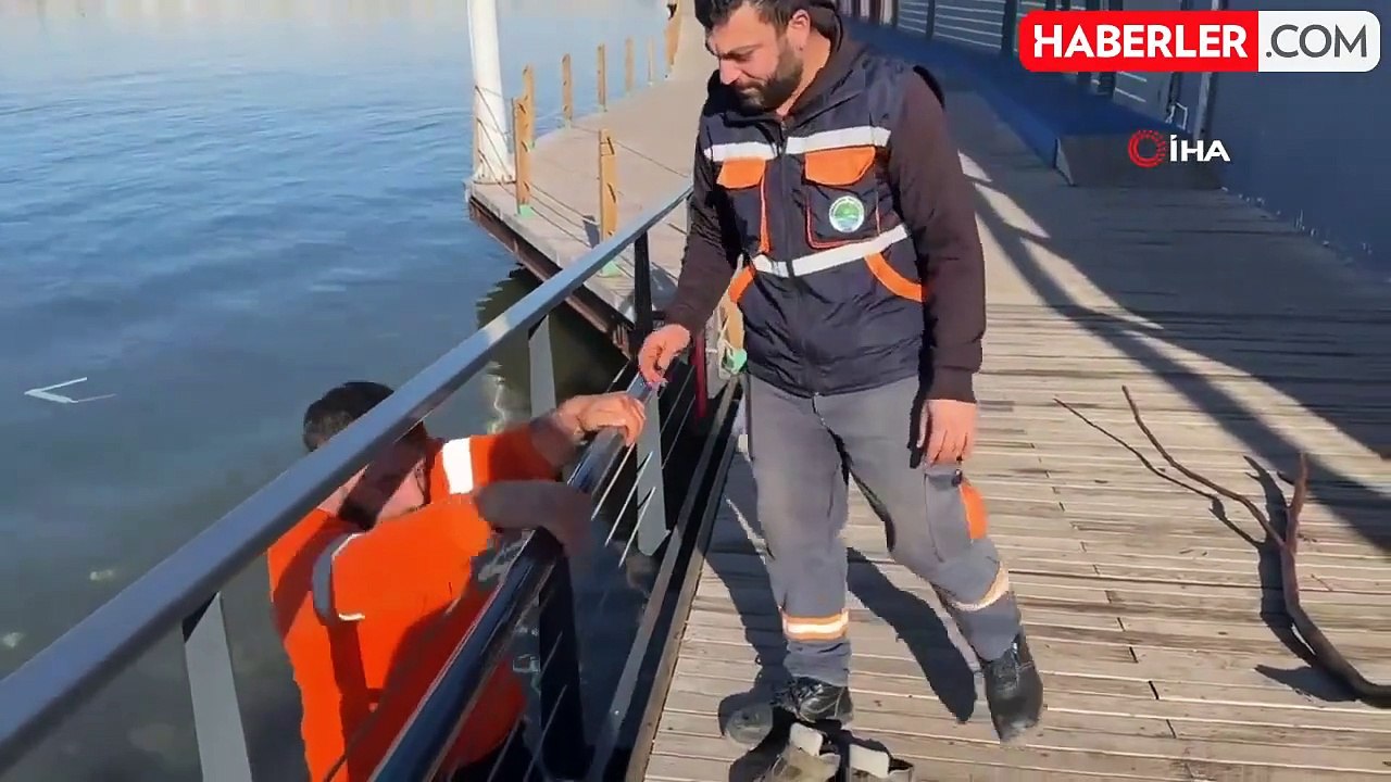 Belediye personeli denize düşen Türk bayrağı için buz gibi suya girdi