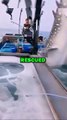 RESCUING WHALE SHARK! #animals #animalstories #pets #animalrescue #cute #cuteanimals #natureglobal